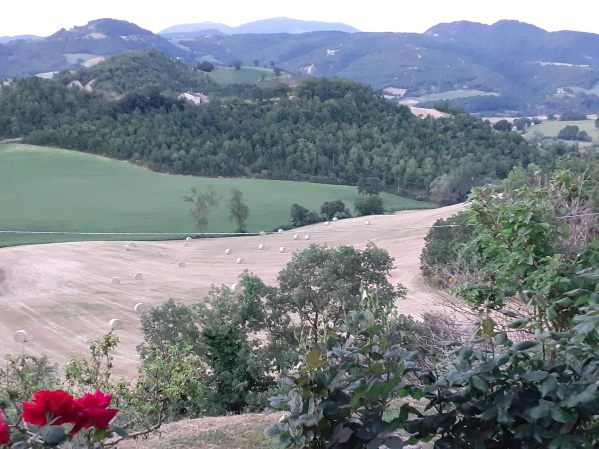 Ca' Gulino - Urbino - Villa Con Minipiscina In Borgo Antico المظهر الخارجي الصورة