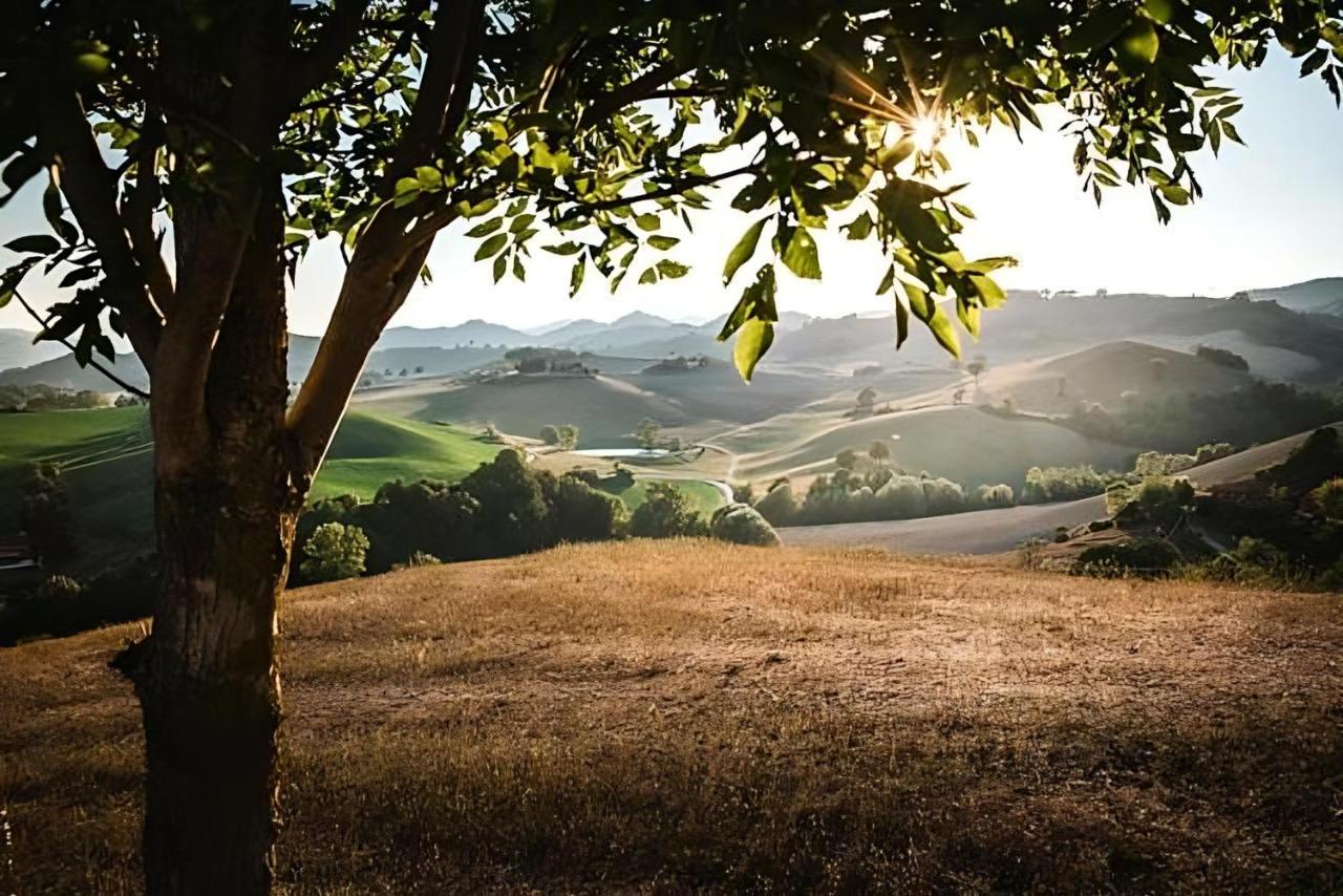 Ca' Gulino - Urbino - Villa Con Minipiscina In Borgo Antico المظهر الخارجي الصورة