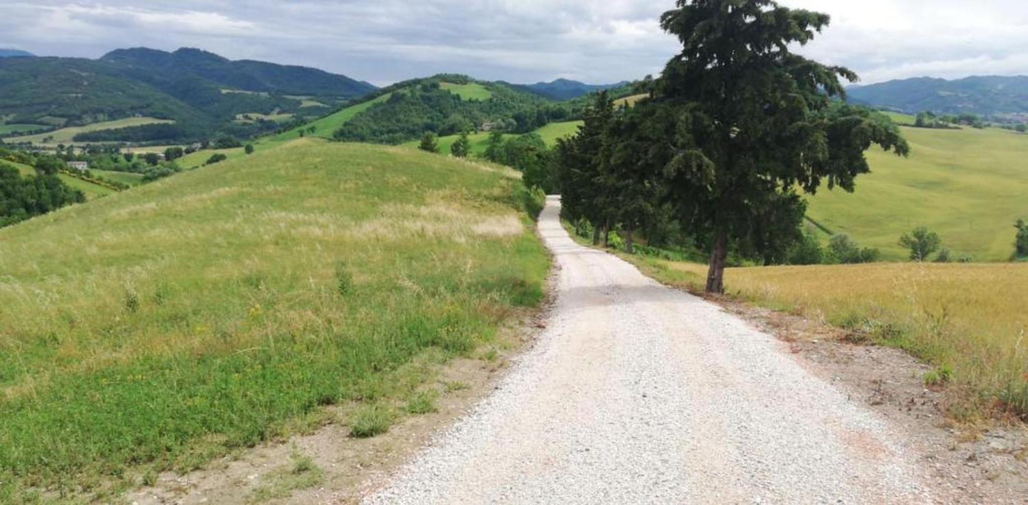 Ca' Gulino - Urbino - Villa Con Minipiscina In Borgo Antico المظهر الخارجي الصورة
