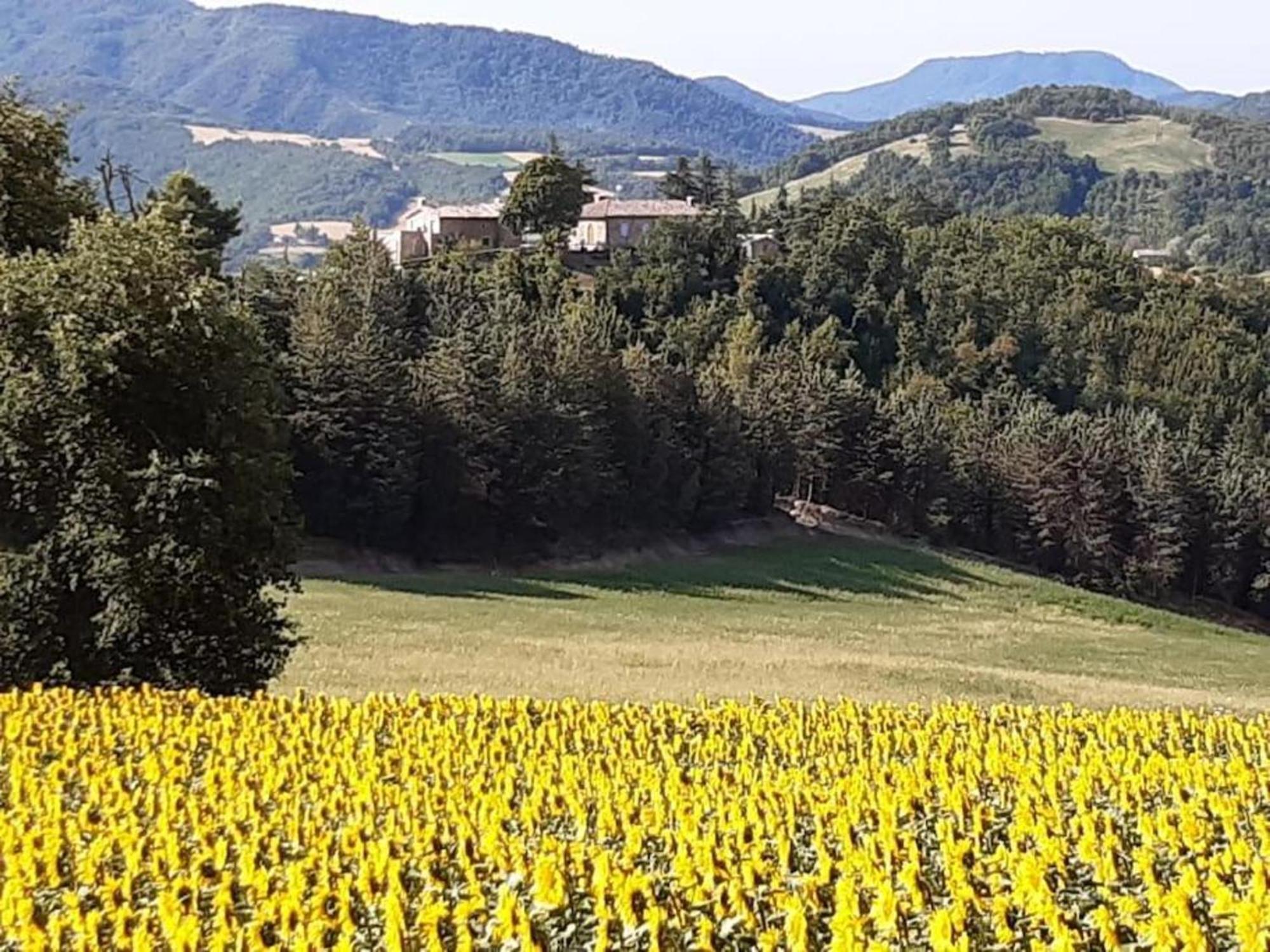 Ca' Gulino - Urbino - Villa Con Minipiscina In Borgo Antico المظهر الخارجي الصورة